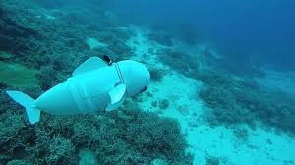 روبوتات روسية لاستكشاف الأماكن العميقة أسفل المياه